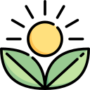 organic (2)
